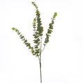 Full view of the Dustleaf Branch artificial foliage spray, with a long green stem and upright and outward-curving branches of rounded sage-green leaves on white.