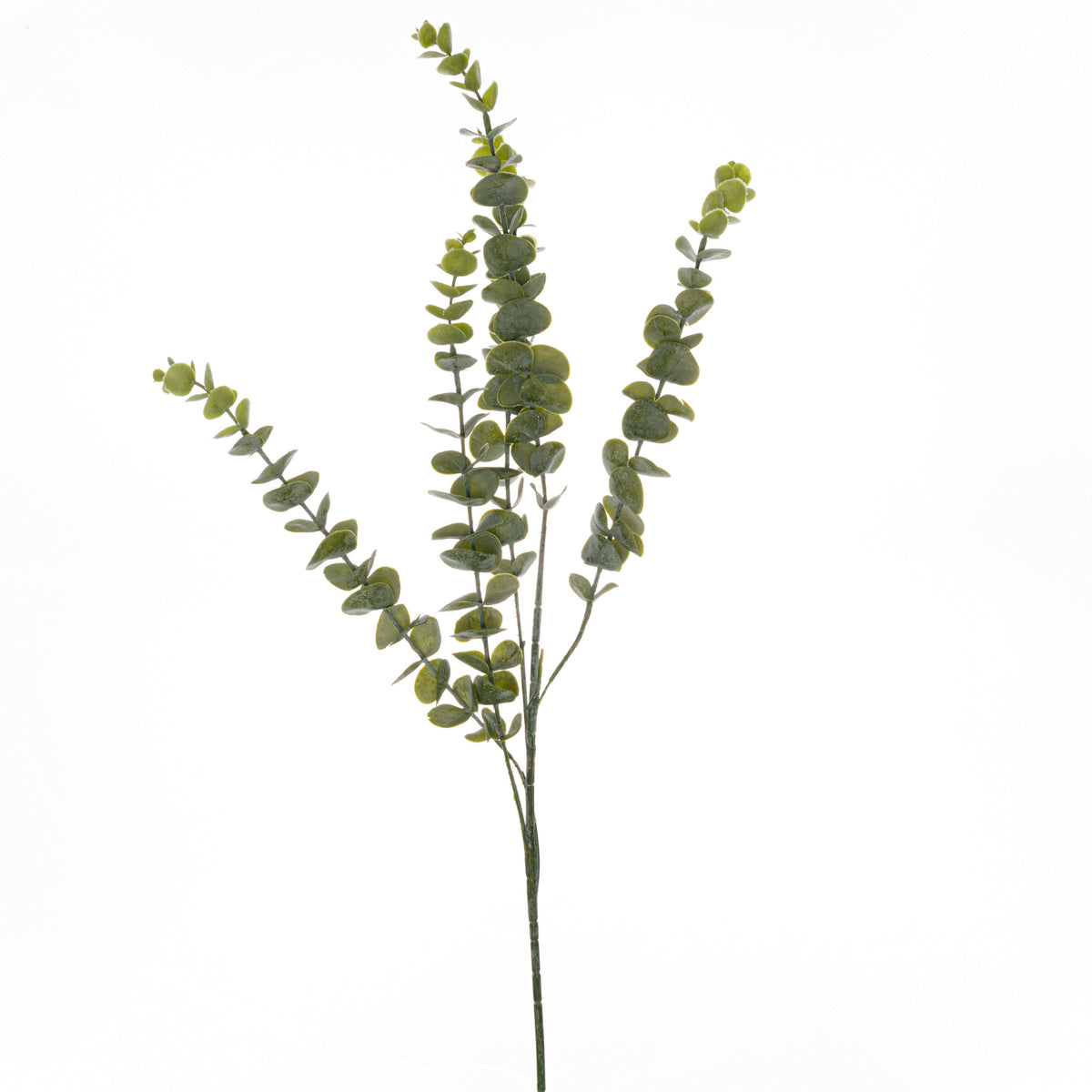 Full view of the Dustleaf Branch artificial foliage spray, with a long green stem and upright and outward-curving branches of rounded sage-green leaves on white.