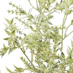 Close-up of pale-green pointed leaves and elongated buds, showing darker green shading and touches of muted red at some tips.