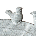 Close-up of one rounded bird with its tail raised along the speckled rim, with part of the second bird visible at the right edge.