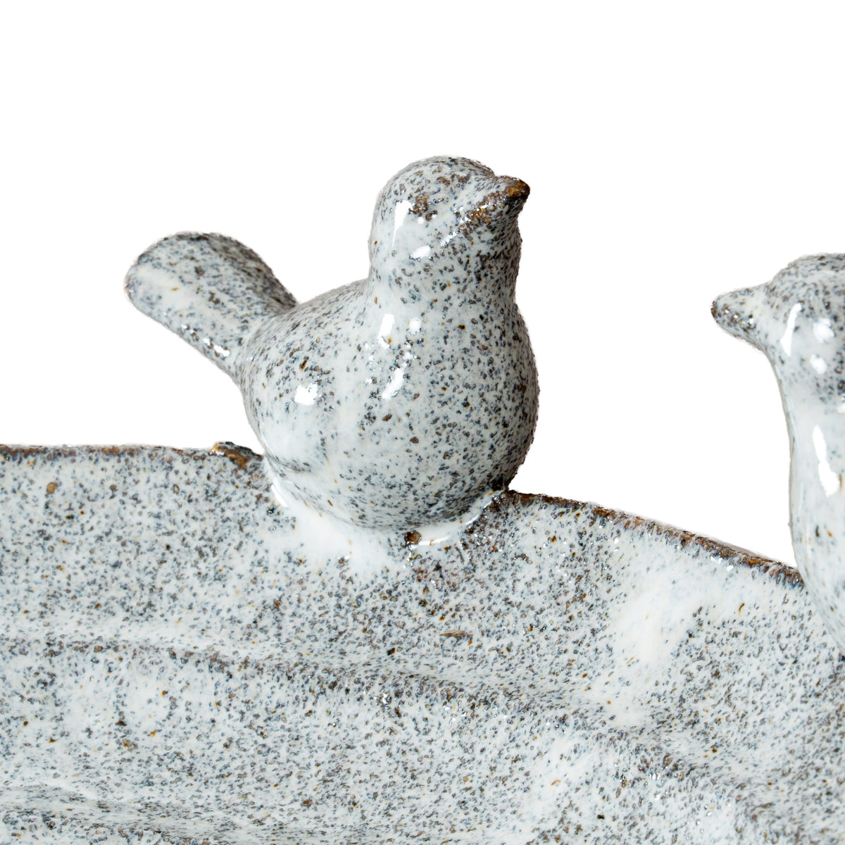 Close-up of one rounded bird with its tail raised along the speckled rim, with part of the second bird visible at the right edge.