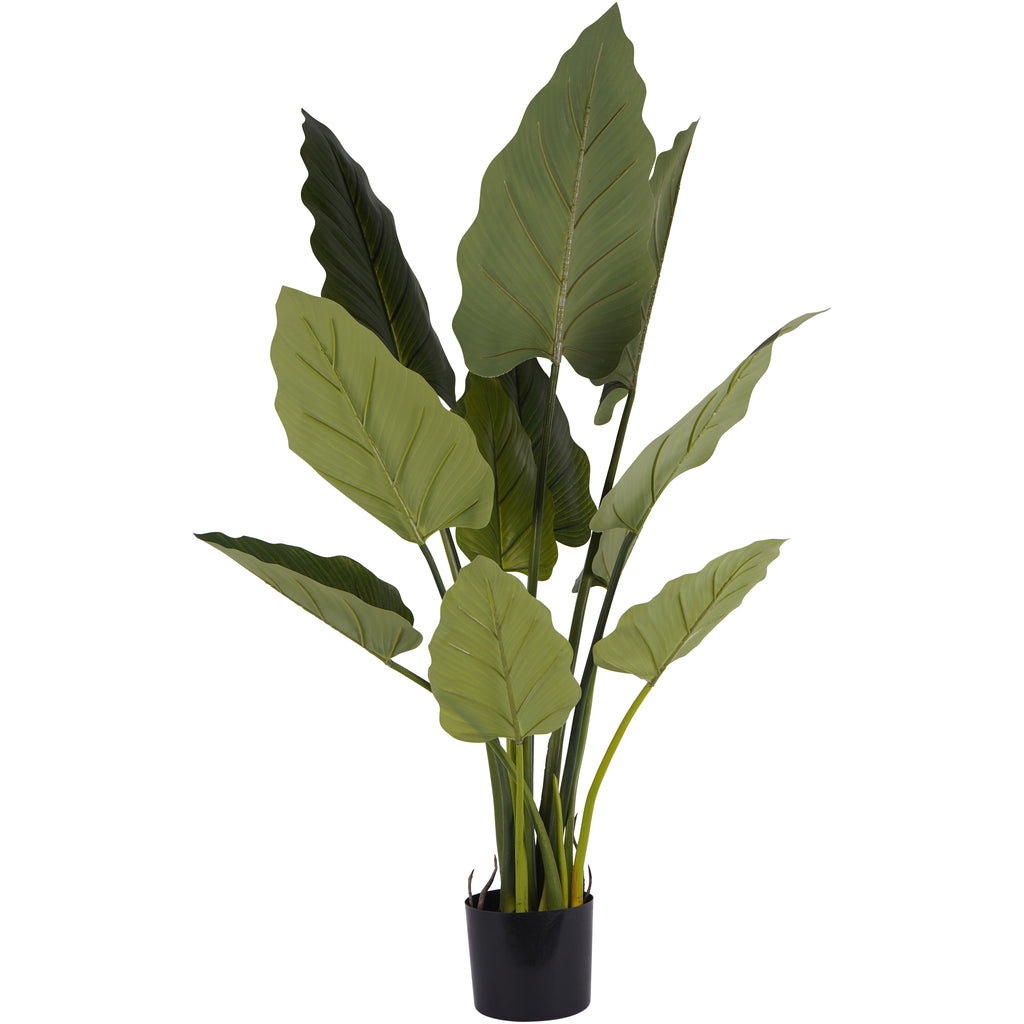 Full view of the faux Tora plant with large green leaves on upright stems in a small black pot against a white background.