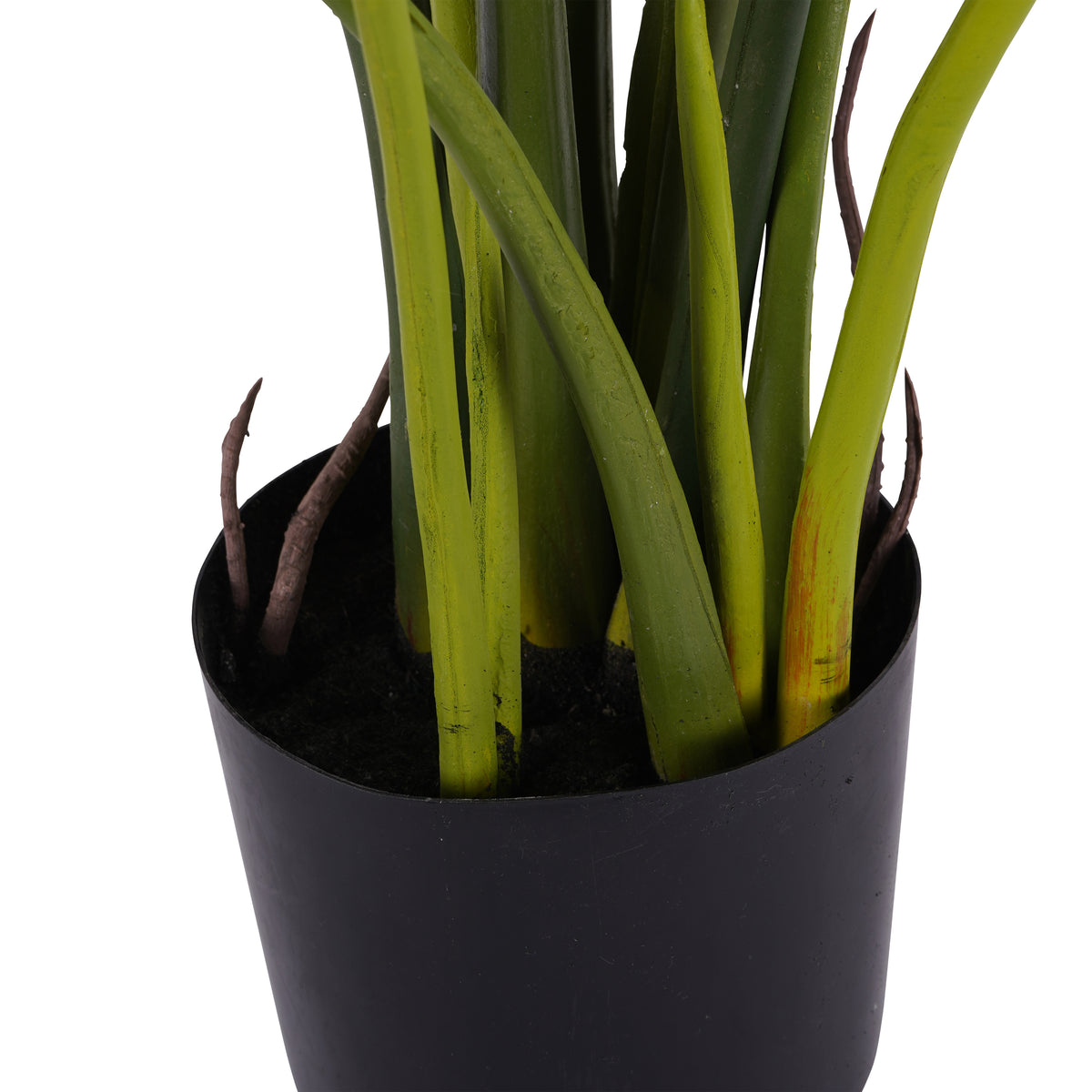 Close-up of the faux Tora plant base, with clustered green stems and brown shoots emerging from dark filling in the black pot.