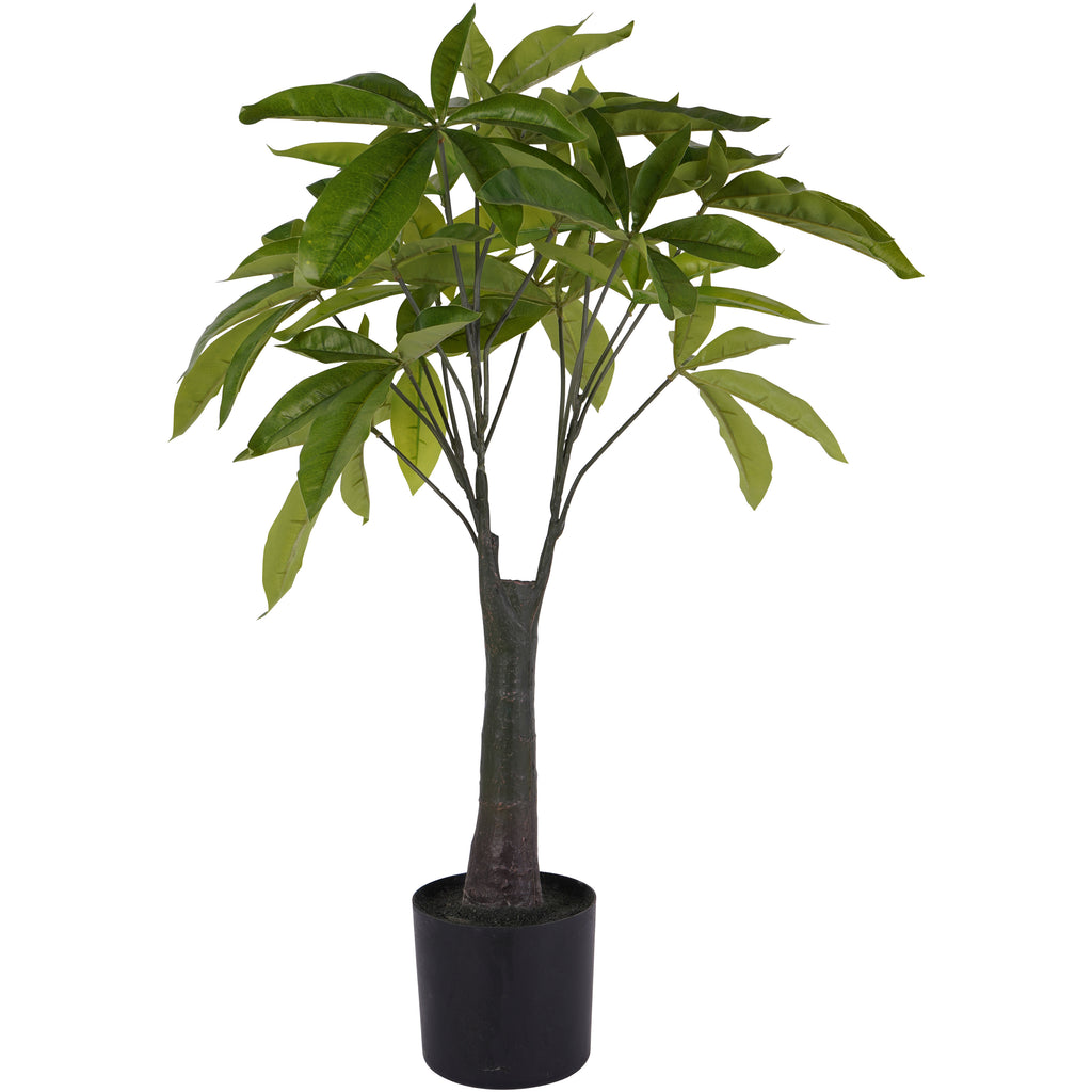 Full view of a faux Pachira money plant with a spreading green canopy, branching dark trunk and black pot against white.