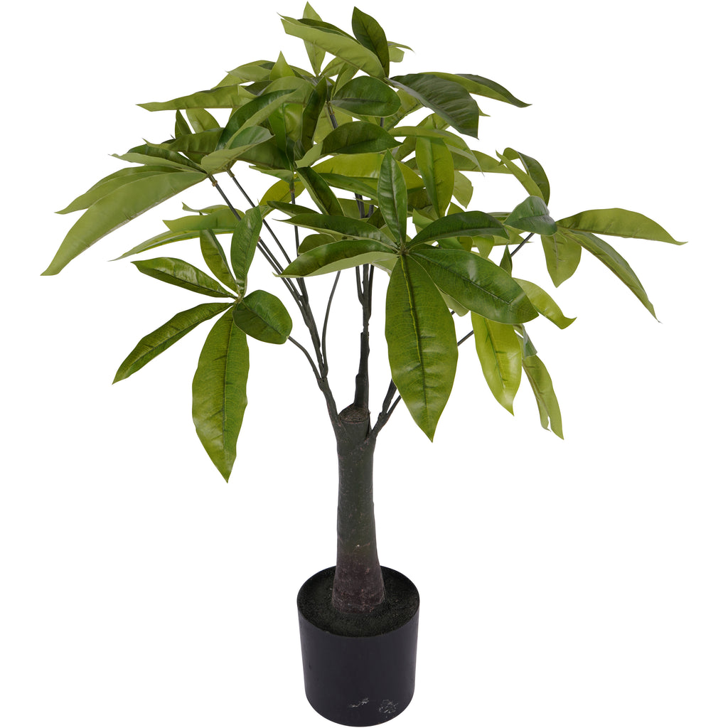 Alternative view of the faux Pachira showing overlapping clusters of pointed green leaves, slender branches and a black pot.