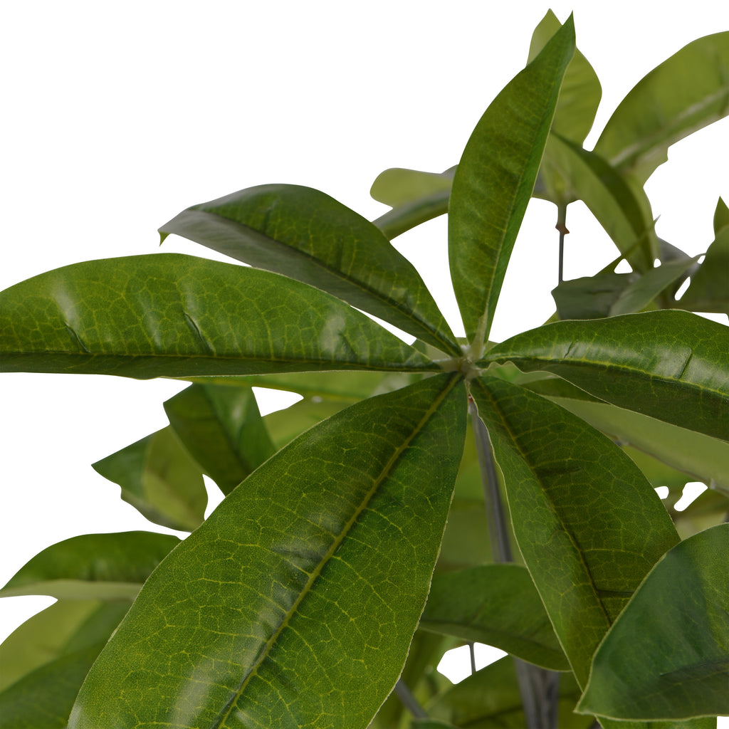 Close-up of elongated green leaves radiating from a central point, showing fine vein markings and curved edges.
