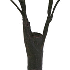 Close-up of the dark textured trunk dividing into upright branches, with reddish-brown markings on the surface.