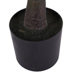 Detail of the textured trunk base and dark surface inside the round black pot.