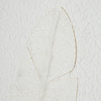 Close-up of the feather's curved tip, raised central line and divided edges against the textured white ground.