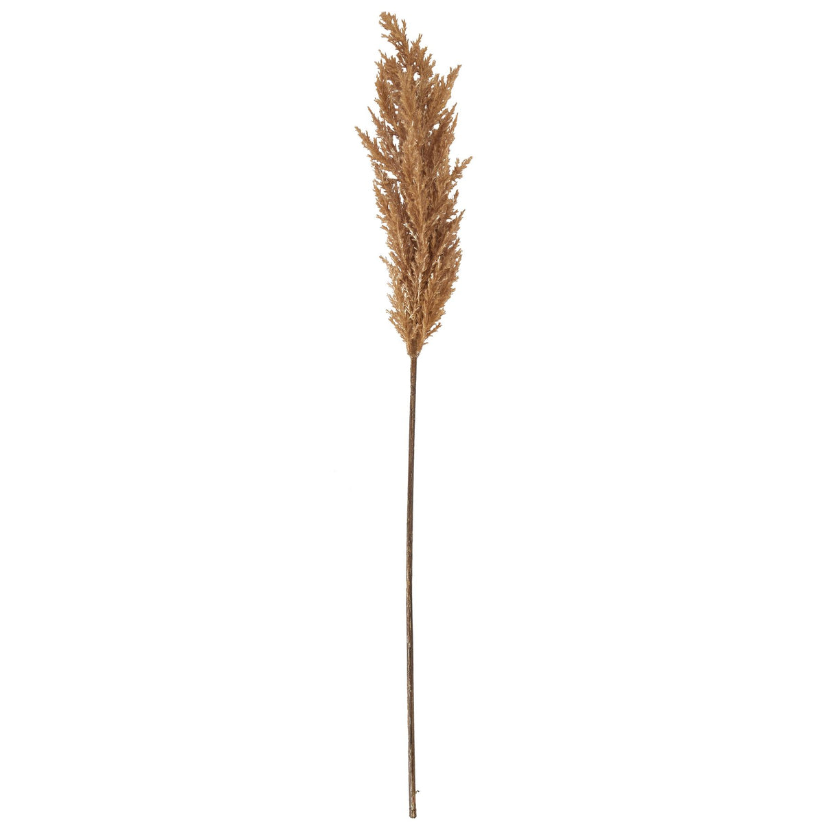 Full view of the artificial plume stem against white, with a slender brown stalk and a tapered feathery top.