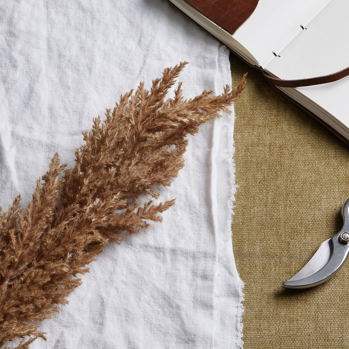 Close-up of the brown plume's fine branching fibres on white fabric, beside part of an open notebook and pruning shears.