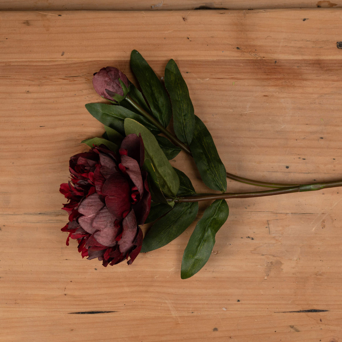 Close view of the layered wine-red bloom, rounded bud and green leaves laid across a wooden surface.