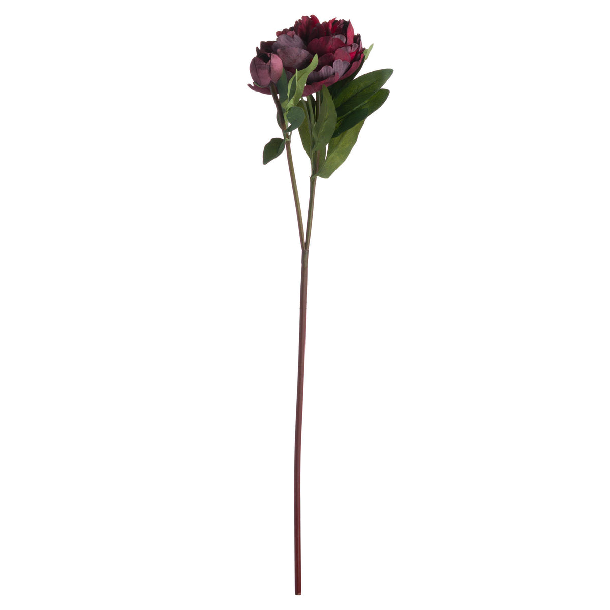 Full view of the Featherpetal artificial flower stem, with a burgundy bloom, closed bud and green leaves against white.