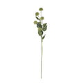Full view of the artificial flower stem against white, with a long green stalk, serrated leaves and pale-green globe heads on slender branches.