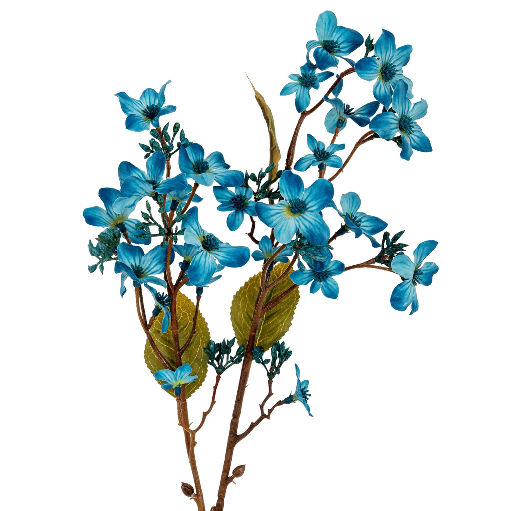 Closer view of the flowering branches, showing blue blossoms, small buds, serrated olive-green leaves and an upper leaf folded edge-on.