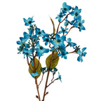 Closer view of the flowering branches, showing blue blossoms, small buds, serrated olive-green leaves and an upper leaf folded edge-on.