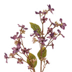 Close-up of the purple blossoms and fine brown branches, showing the pointed, serrated leaves and their contrasting veins.