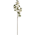 Full view of an artificial flowering branch with a long brown stem, white flower clusters and dark green oval leaves against white.