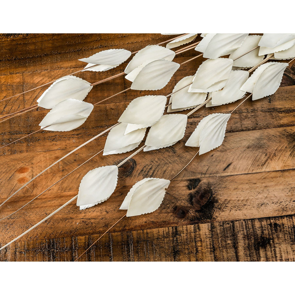 Flatpod stems laid diagonally across a warm brown wooden tabletop, with pale flattened pods spread over the visible grain.