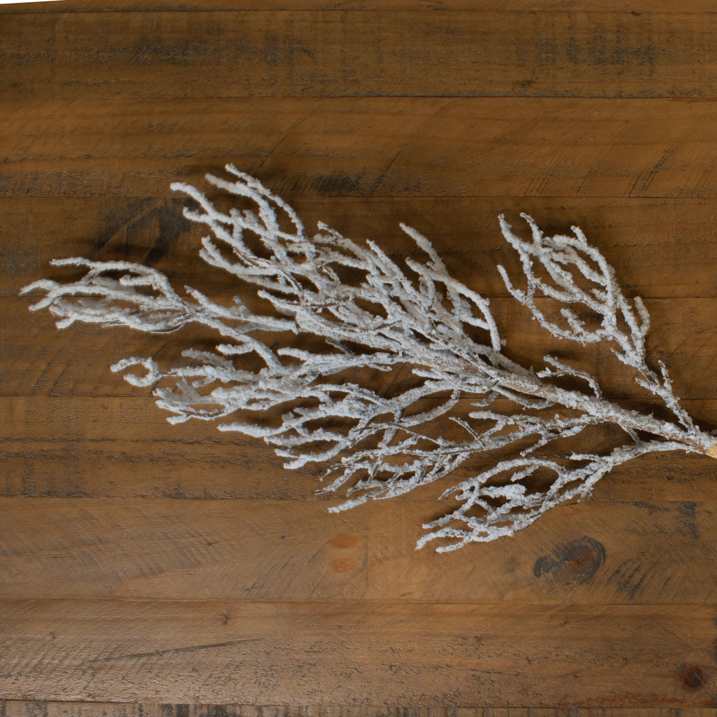 Flockpatch artificial branch lying diagonally on a wooden surface, with spreading brown offshoots covered in white snow-effect texture.