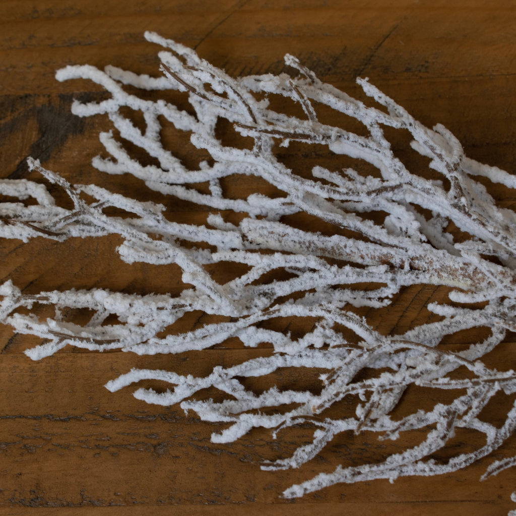 Close-up of the branch's fine angular twigs, showing granular white snow-effect coating and exposed brown patches against wood.