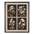 Front view of dark brown framed artwork with four white-flower studies in a two-by-two grid, dark backgrounds, gold-coloured panel outlines and a broad pale border.