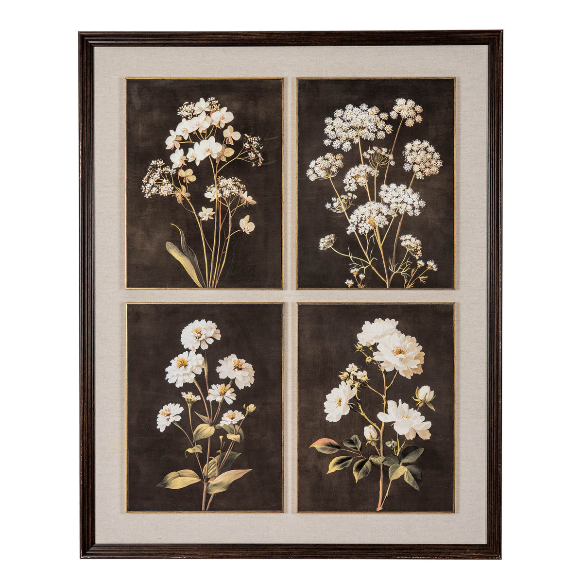 Front view of dark brown framed artwork with four white-flower studies in a two-by-two grid, dark backgrounds, gold-coloured panel outlines and a broad pale border.