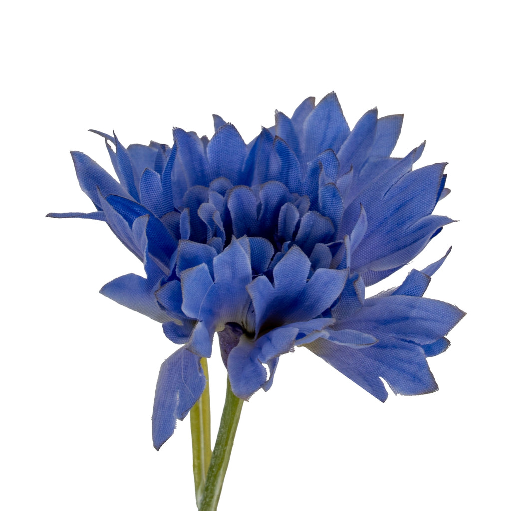 Close-up of a blue flowerhead showing overlapping pointed petals, a tightly layered centre and a green stem below.