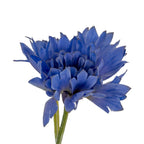 Close-up of a blue flowerhead showing overlapping pointed petals, a tightly layered centre and a green stem below.