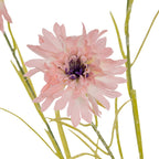 Close-up of a blush-pink flower head showing textured layers of petals, pale petal bases and a dark purple centre, framed by green stems.