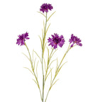 Closer view of the spray's four purple flower heads at different heights, with narrow green leaves between the branching stems.