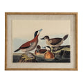 Front view of a framed print depicting four waterfowl on rocks and water, with a pale textured surround and tan-gold beaded frame.