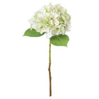Full view of an artificial flower stem with a rounded pale green and cream bloom, two serrated green leaves and a long green-to-brown stalk on white.