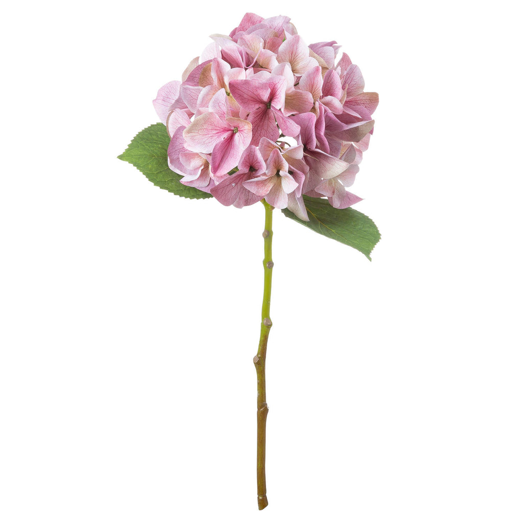 Full view of a pink artificial flower stem with a rounded cluster of florets, two serrated green leaves and a long green-to-brown stalk against white.