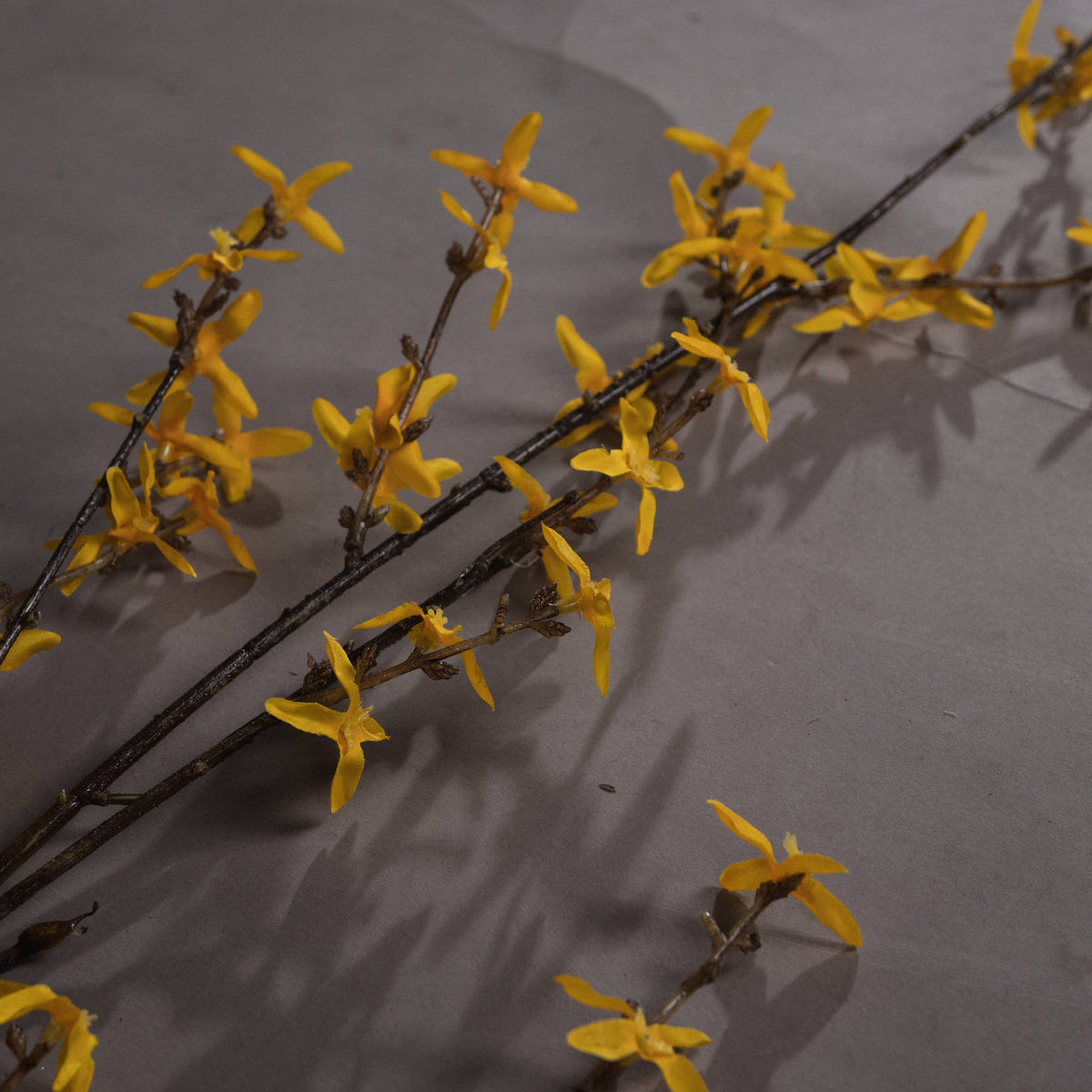 Close-up of golden-yellow four-petalled flowers and small brown buds on diagonal artificial forsythia twigs against a grey surface.