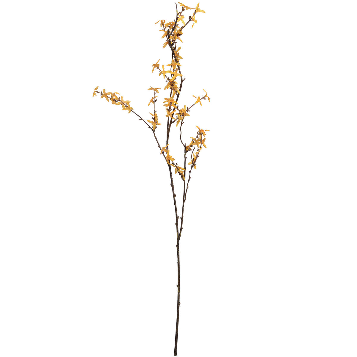 Full view of an artificial forsythia branch with a long dark-brown stem and spreading twigs covered in small golden-yellow flowers against white.