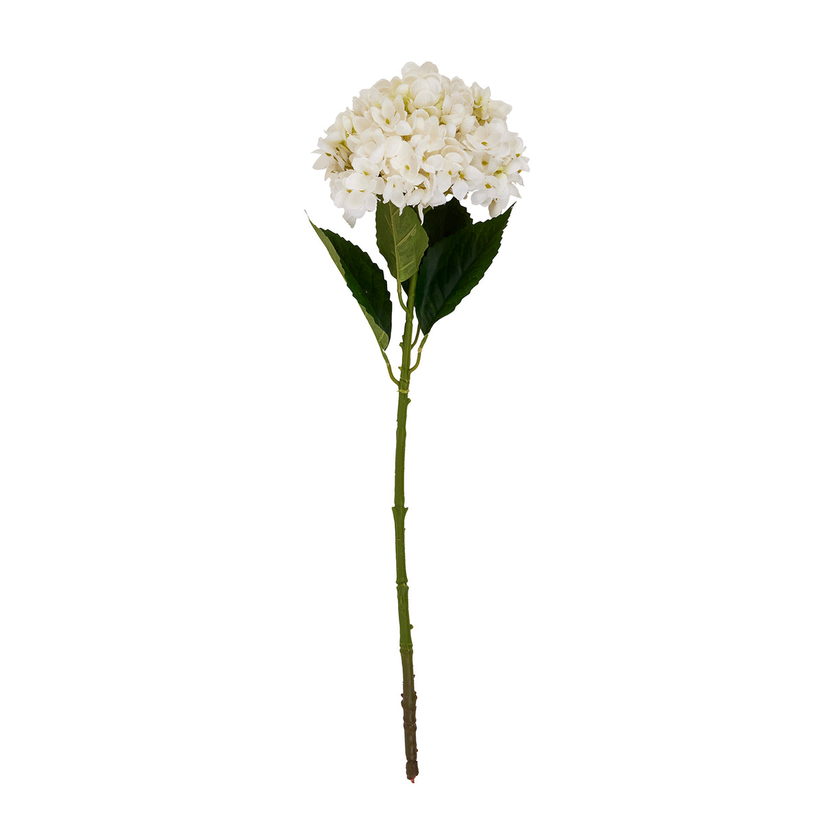 Full view of an artificial flower stem with a rounded white flower head, broad green leaves and a long green stalk against a white background.