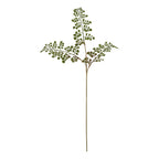 Full view of an artificial foliage spray with a long slender stem and three spreading branches of small fringed green leaflets against white.