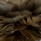 Close-up of overlapping grey-brown and warm-brown feather-like elements, showing fine fringes and curled ends.