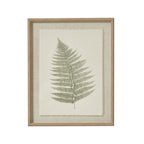 Front view of a single green fern frond on pale textured backing within a tan beaded frame.