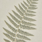 Close-up of muted green fern leaflets and the fine woven texture of the cream background.