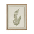 Front view of three green fern fronds on a pale textured panel with frayed edges, enclosed by a tan beaded frame.