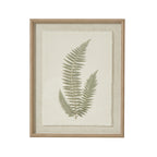 Front view of three green fern fronds on a pale textured panel with frayed edges, enclosed by a tan beaded frame.