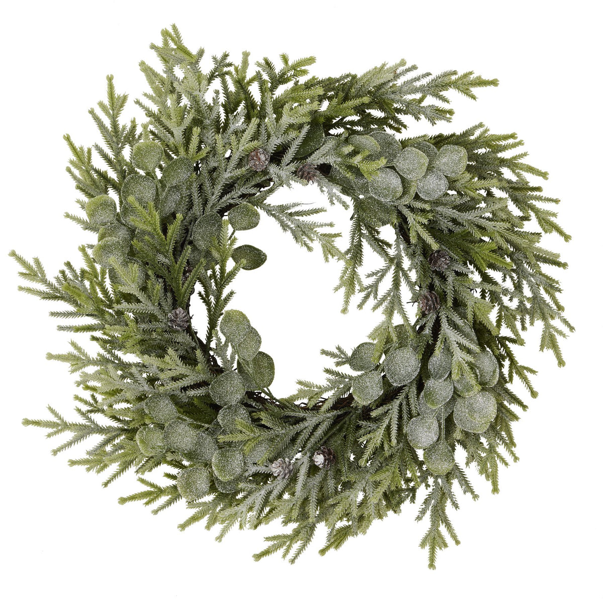 Front view of a circular green foliage wreath with white frosting, rounded leaves and small brown pinecones on a white background.