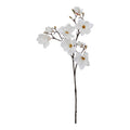 Full view of an artificial flower stem with dark brown branches, open and cupped white blooms and tan buds against a white background.