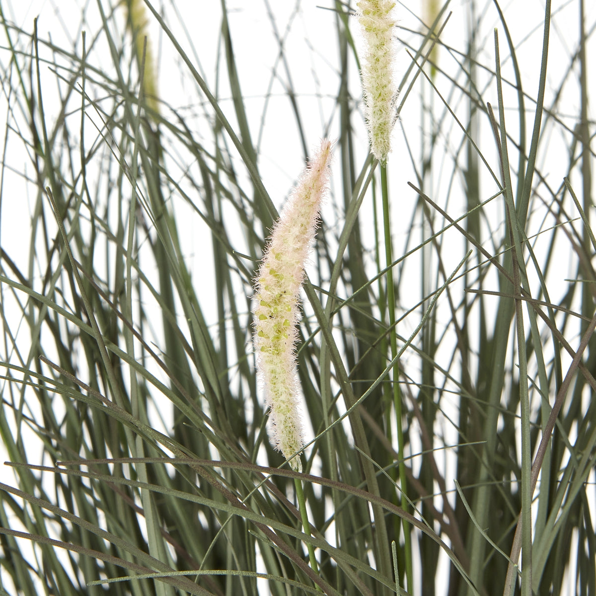 Close-up of pale fuzzy seed heads among crossing narrow green blades in the artificial grass arrangement.