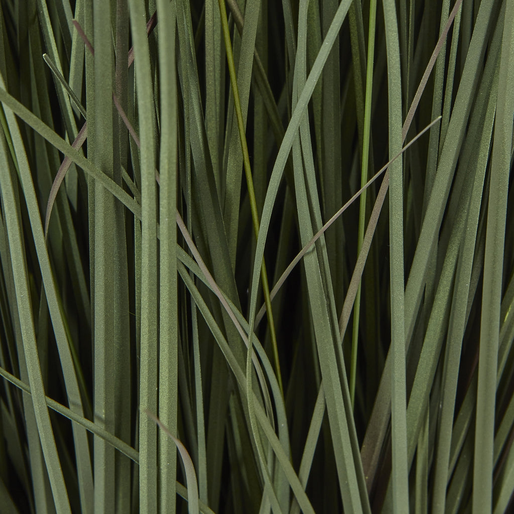 Detail of overlapping muted green grass blades with fine surface texture and darker tones between them.