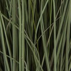 Detail of overlapping muted green grass blades with fine surface texture and darker tones between them.