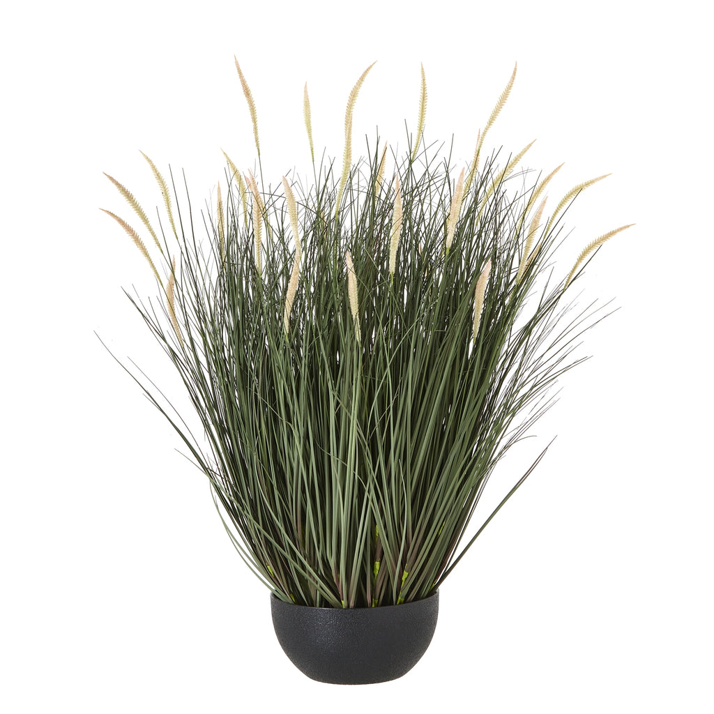 Full view of a dense artificial grass arrangement with spreading green blades and pale fuzzy seed heads in a low rounded black pot.