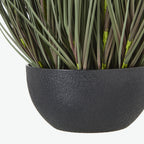 Close view of the rounded black pot's stippled surface beneath a dense cluster of green grass blades.